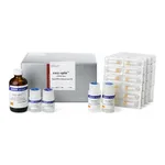 Intron easy-spin™ Total RNA Extraction Kit