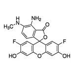 Merck DAF-FM SOLUTION, 5 MM IN DMSO, >=97%&