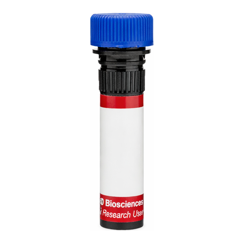 BD R718 Mouse Anti-Human EGF Receptor