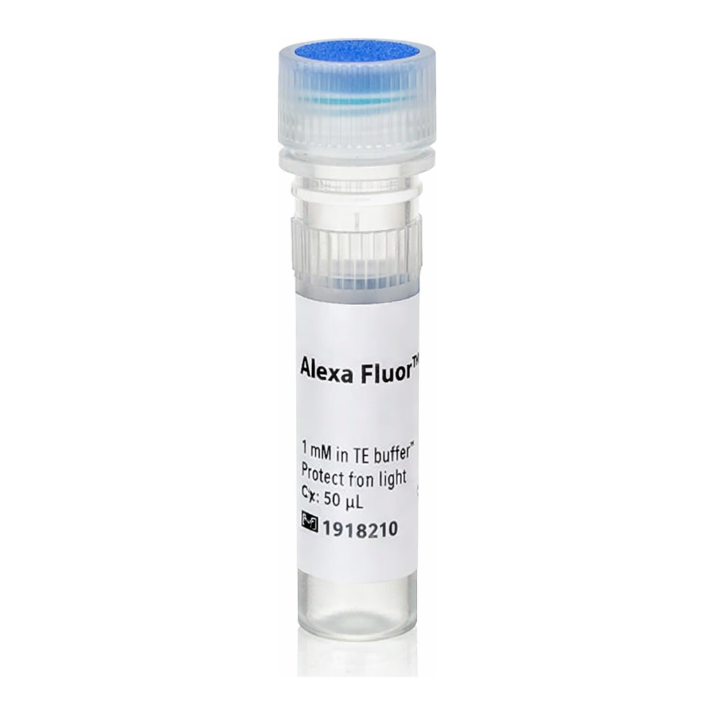 Thermo Fisher Scientific Alexa Fluor 555-aha-dCTP