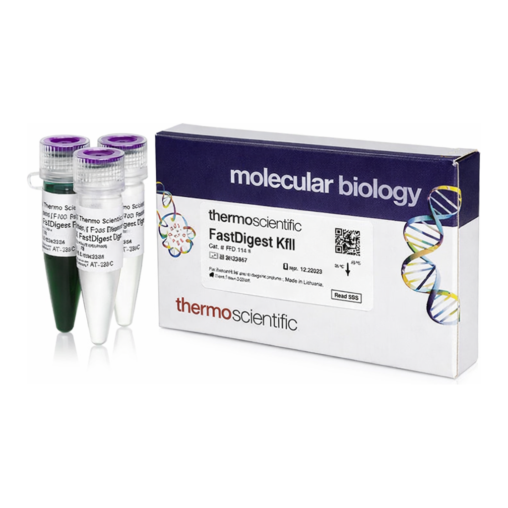 Thermo Fisher Scientific FastDigest KflI