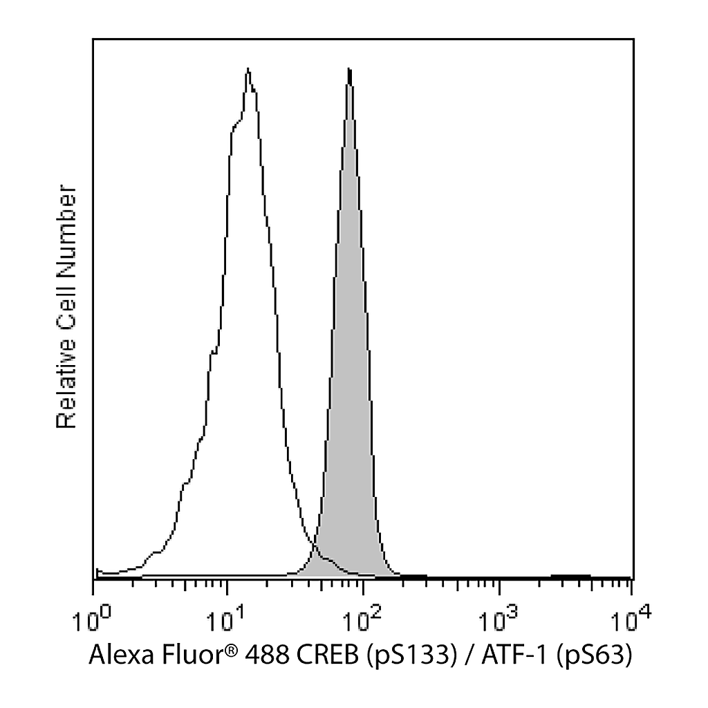 BD Alexa Fluor® 488 Mouse Anti-CREB (pS133) / ATF-1 (pS63)