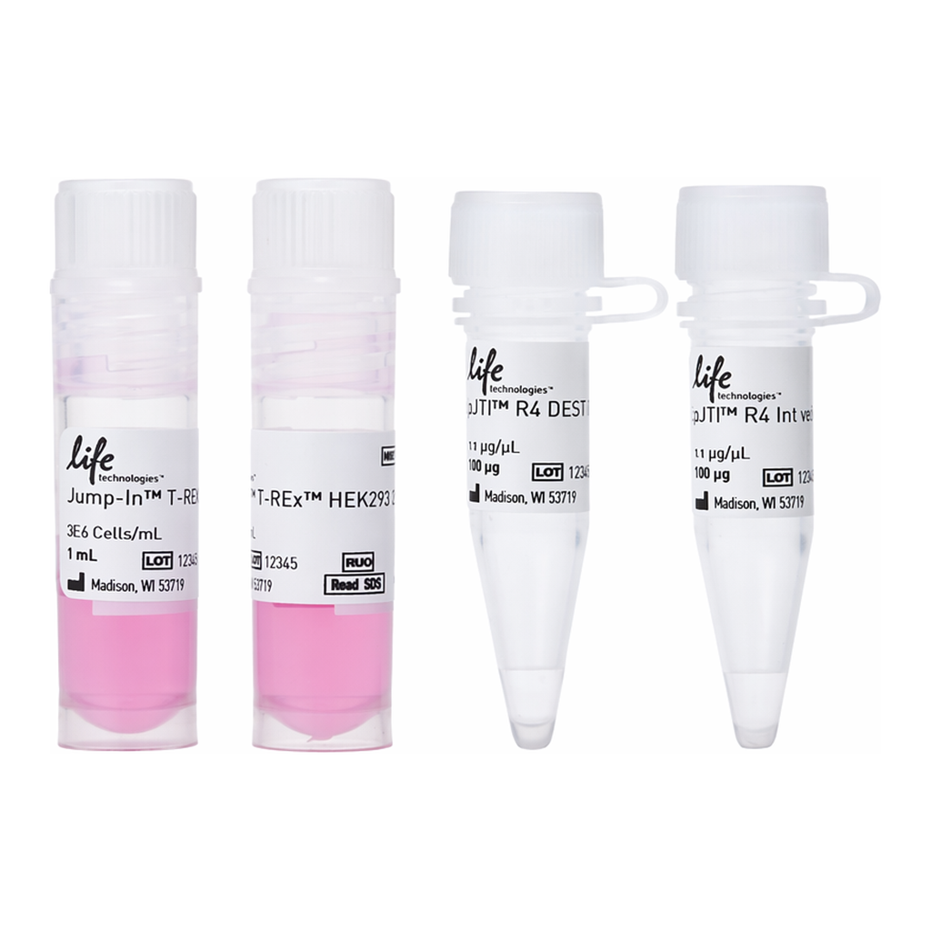 Thermo Fisher Scientific Jump In T-REx HEK 293 Kit