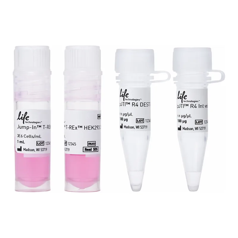 Thermo Fisher Scientific Jump In T-REx HEK 293 Kit
