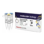 Thermo Fisher Scientific Csp6I (CviQI) (10 U/μL)