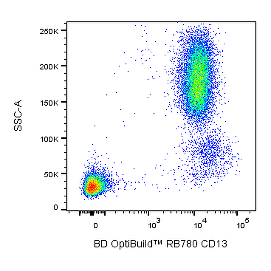 BD RB780 Mouse Anti-Human CD13