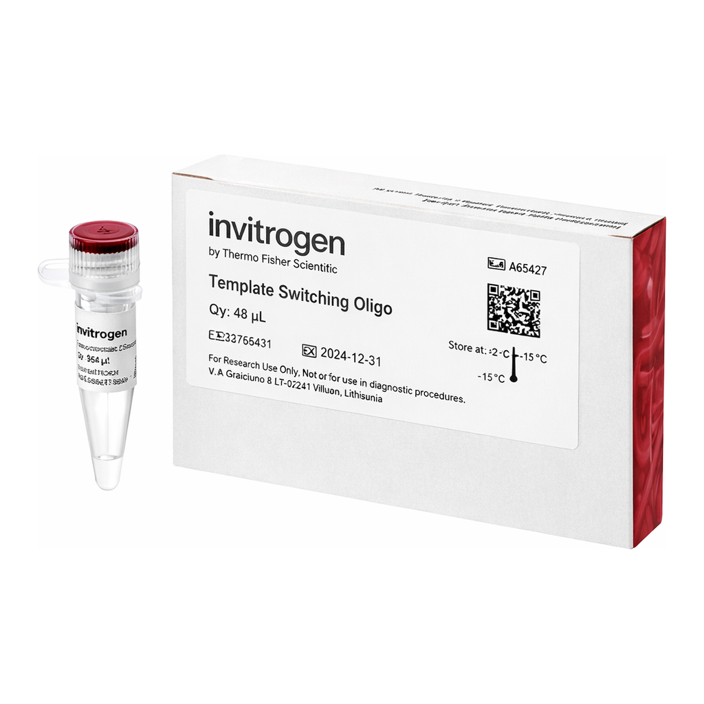 Thermo Fisher Scientific Template Switching Oligo, 48 Reactions