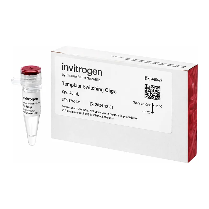 Thermo Fisher Scientific Template Switching Oligo, 48 Reactions