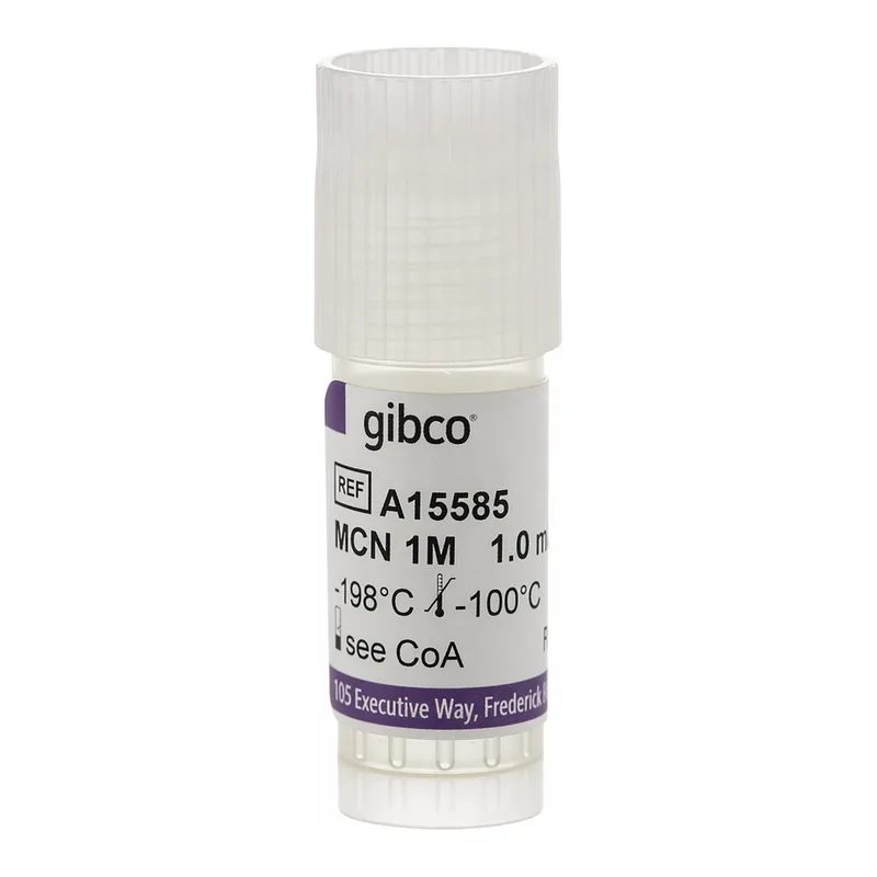 Thermo Fisher Scientific Primary Mouse Cortical Neurons, 1 x 10<sup>6</sup>