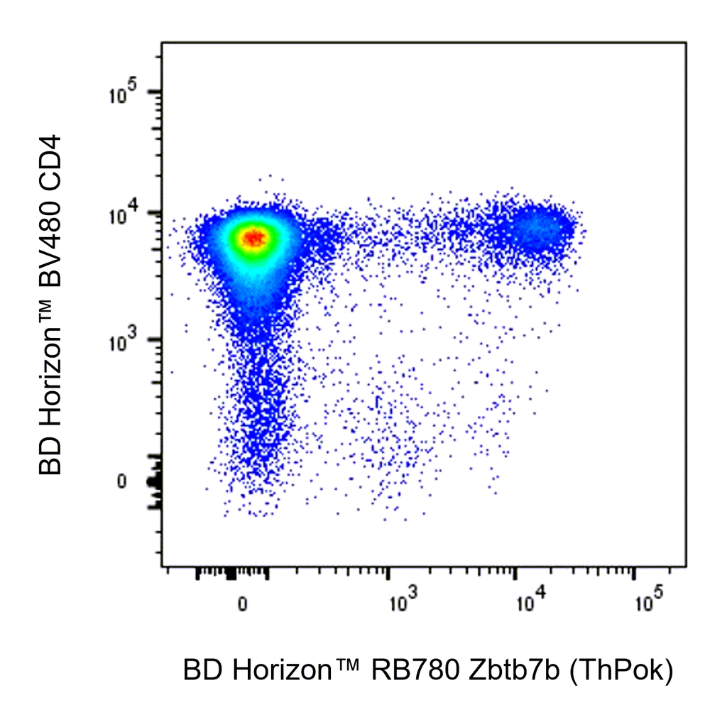 BD RB780 Rat Anti-Mouse Zbtb7b (ThPok)