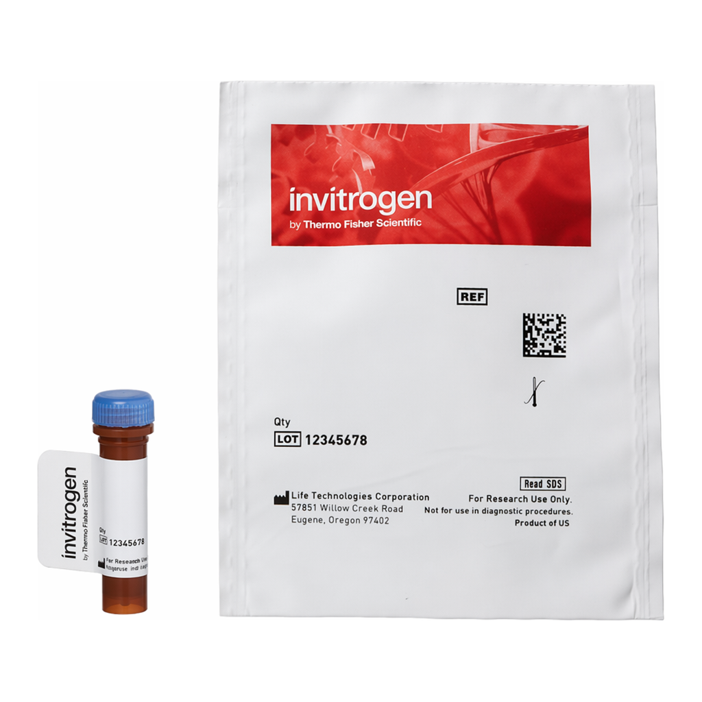 Thermo Fisher Scientific Oregon Green 488 Azide (Oregon Green 6-Carboxamido-(6-Azidohexanyl), Triethylammonium Salt), 6-isomer
