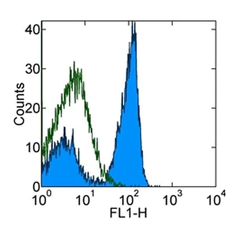 Thermo Fisher Scientific Mouse anti-Rat IgG (H+L) Secondary Antibody, FITC, eBioscience