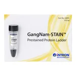 Intron GangNam-STAIN™ Prestained Protein Ladder