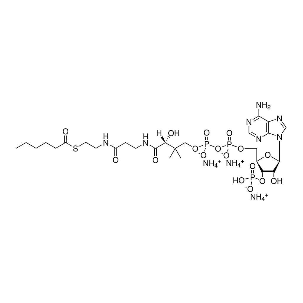 Merck 06:0 Coenzyme A
