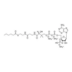 Merck 06:0 Coenzyme A