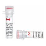 Merck MISSION(R) esiRNA