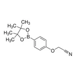 Merck 4-Cyanomethoxyphenylboronic acid, pinacol ester