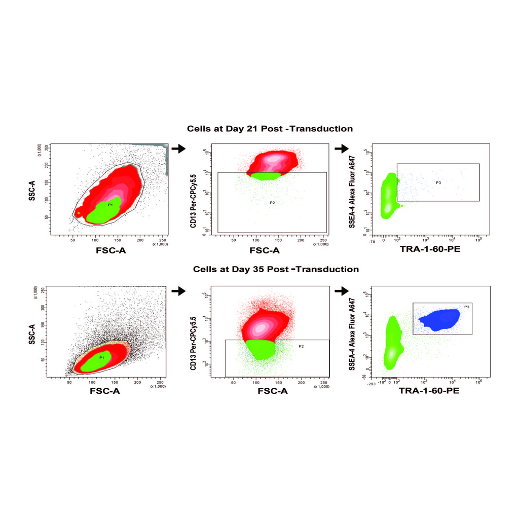 BD Human Induced Pluripotent Stem Cell Analysis and Sorting Kit
