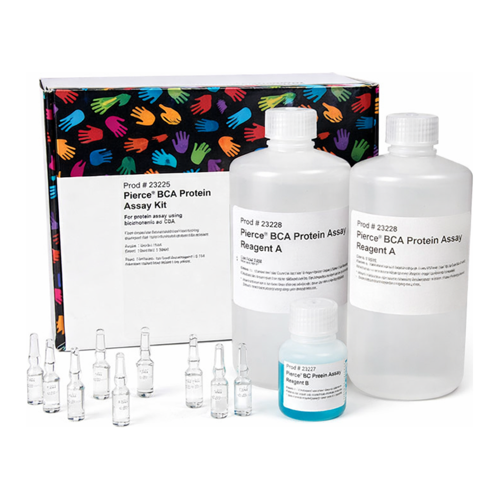 Thermo Fisher Scientific Pierce BCA Protein Assay Kit, 1 Kit (1 L)