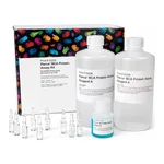 Thermo Fisher Scientific Pierce BCA Protein Assay Kit, 1 Kit (1 L)