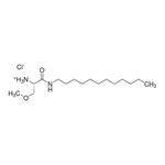 Merck MSDH