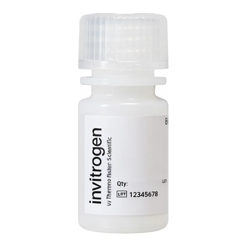 Thermo Fisher Scientific FluoSpheres Polystyrene Microspheres, 1.0 μm, red fluorescent (580/605), for tracer studies