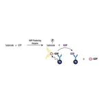 Merck Transcreener(R) GDP TR-FRET Assay