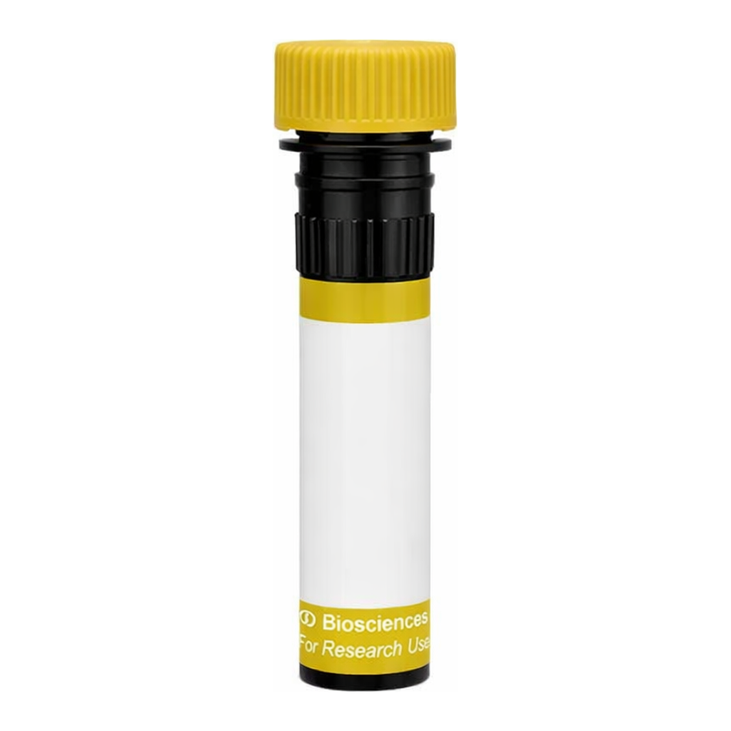 BD RY586 Mouse Anti-Rat CD45RC