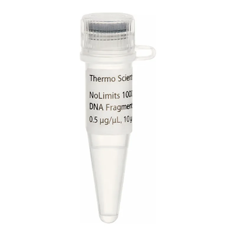 Thermo Fisher Scientific NoLimits 6000 bp DNA Fragment