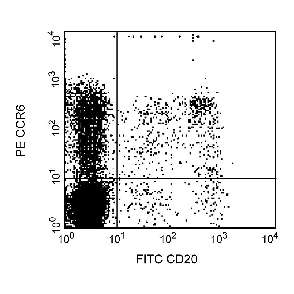 BD PE Mouse Anti-Human CD196 (CCR6)