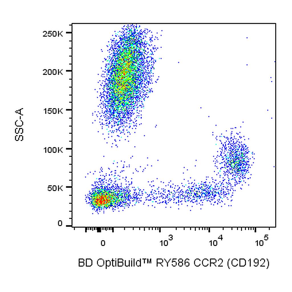 BD RY586 Mouse Anti-Human CCR2 (CD192)