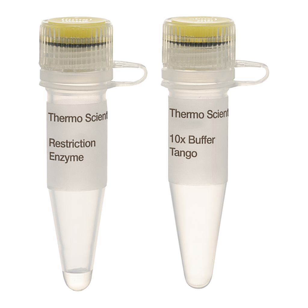 Thermo Fisher Scientific I-SceI (10 U/&mu;L)