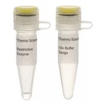Thermo Fisher Scientific I-SceI (10 U/μL)