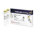 Thermo Fisher Scientific XbaI (10 U/μL), 1,500 units
