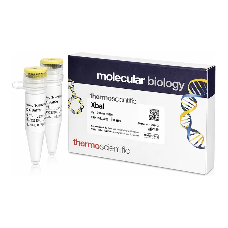 Thermo Fisher Scientific XbaI (10 U/μL), 1,500 units
