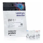 Thermo Fisher Scientific Click-iT Plus Alexa Fluor 555 Picolyl Azide Toolkit
