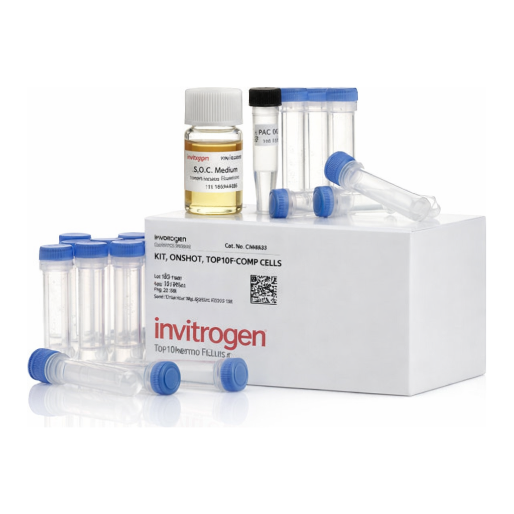 Thermo Fisher Scientific One Shot TOP10F` Chemically Competent E. coli, 21 x 50 &mu;L