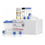 Thermo Fisher Scientific One Shot TOP10F` Chemically Competent E. coli, 21 x 50 μL
