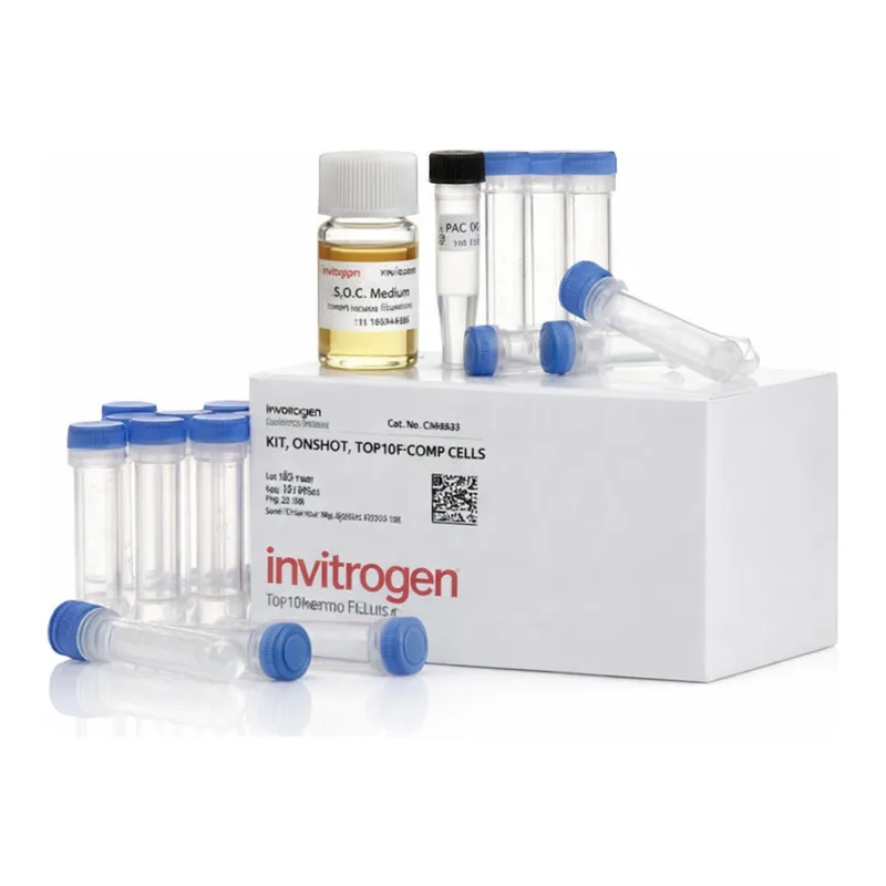 Thermo Fisher Scientific One Shot TOP10F` Chemically Competent E. coli, 21 x 50 μL