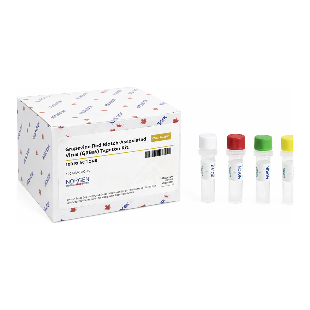 Norgen Grapevine Red Blotch-Associated Virus (GRBaV) TaqMan PCR Kit