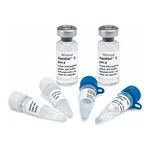 Waters GlycoWorks Rapid Deglycosylation Kit - 2 x 48