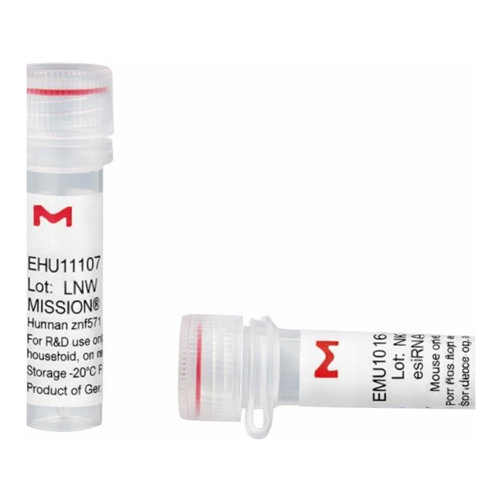 Merck MISSION(R) esiRNA