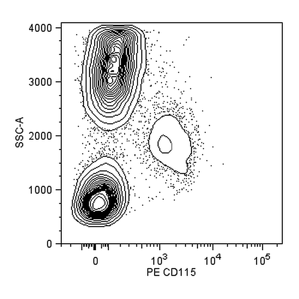 BD PE Rat Anti-Human CD115 (CSF-1R)