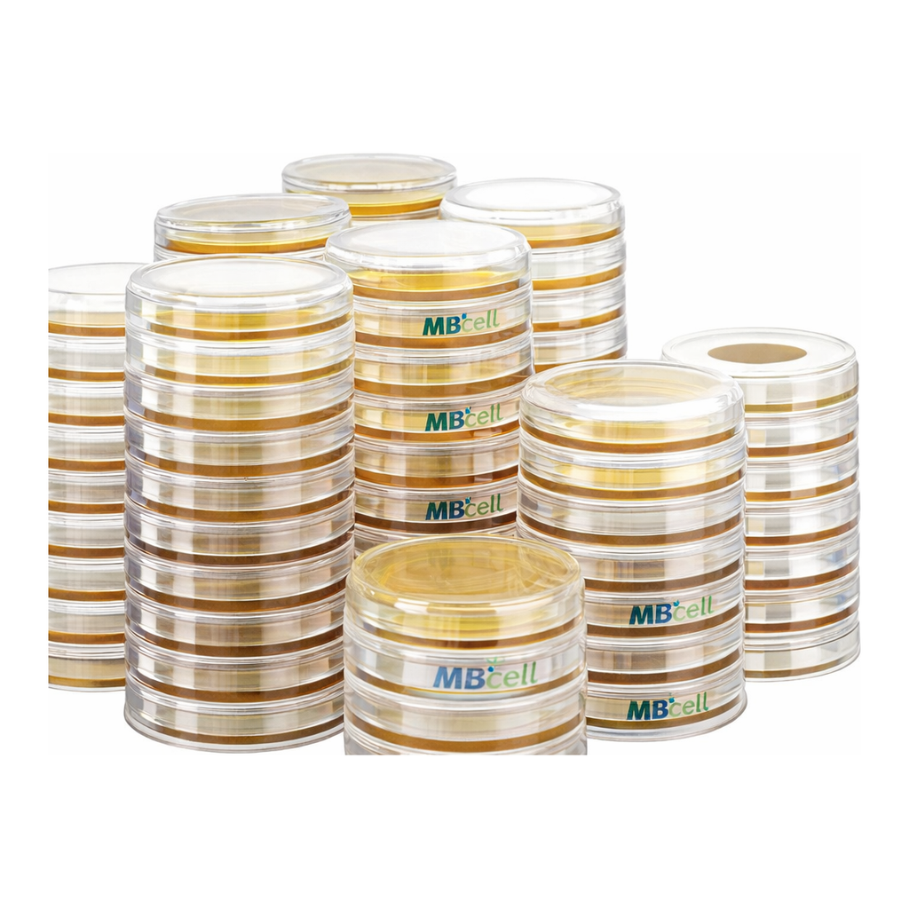 Kisanbio MBcell Oxford Agar Plate / MB-O1310-P50