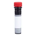 BD BUV805 Mouse Anti-Mouse Vβ 5.1, 5.2 T-Cell Receptor