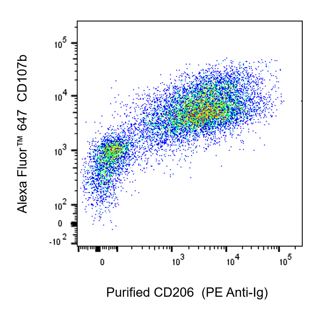BD Purified Rat Anti-Mouse CD206