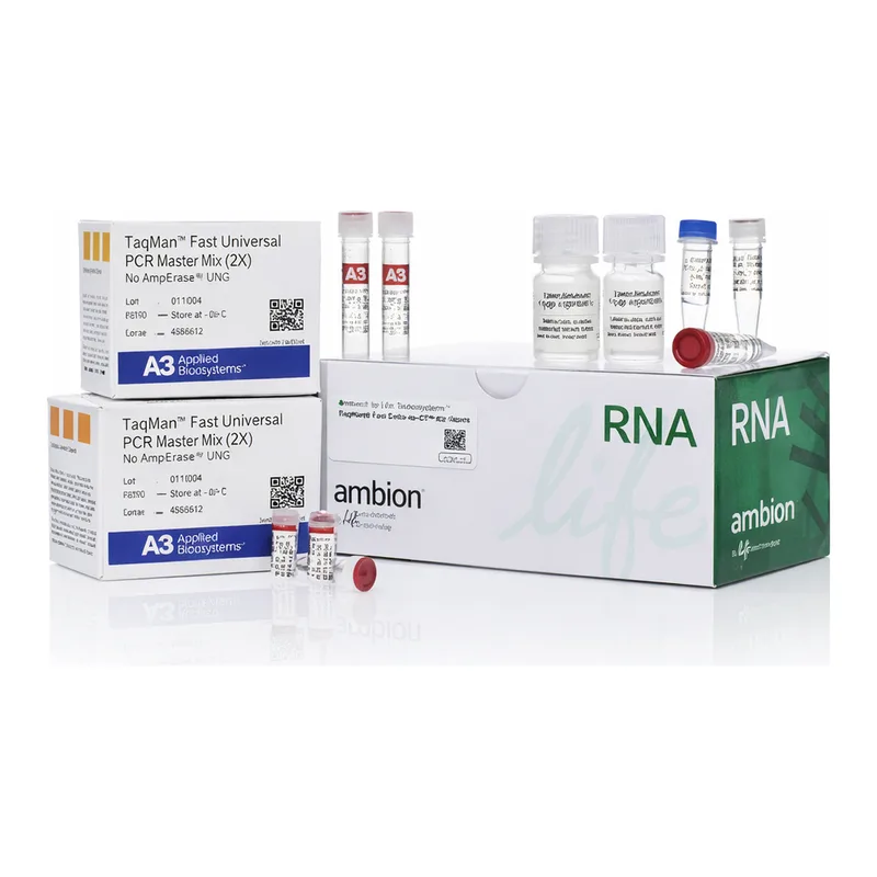 Thermo Fisher Scientific TaqMan Fast Cells-to-CT Kit