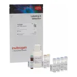 Thermo Fisher Scientific Qubit RNA IQ Assay Kit, 75 assays
