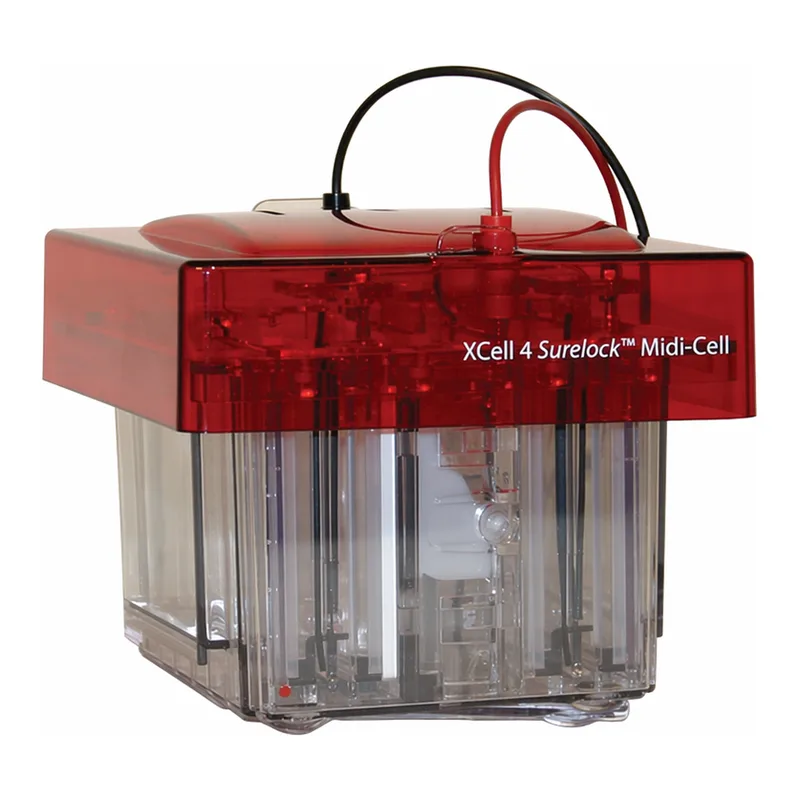 Thermo Fisher Scientific XCell4 SureLock Midi-Cell