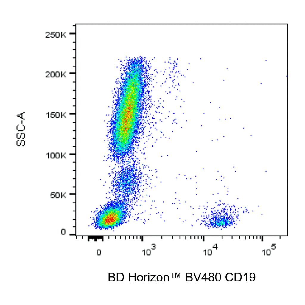 BD BV480 Mouse Anti-Human CD19